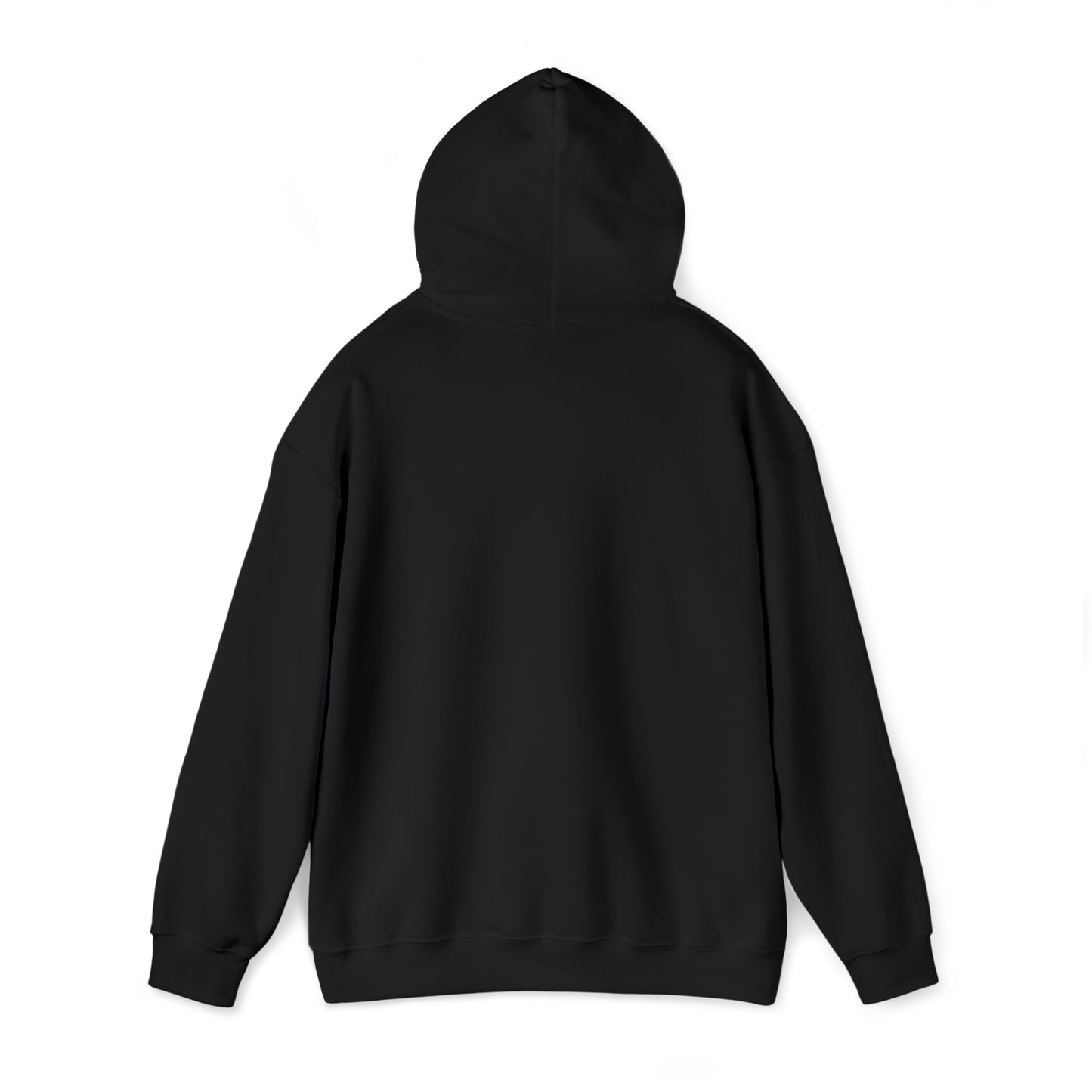 "ANTI NEW WORLD ORDER" Hooded Sweatshirt